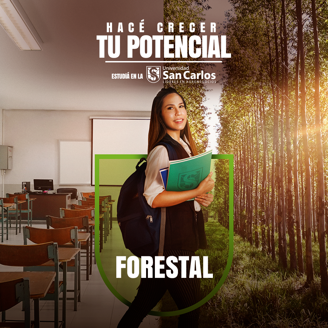 FORESTAL 2